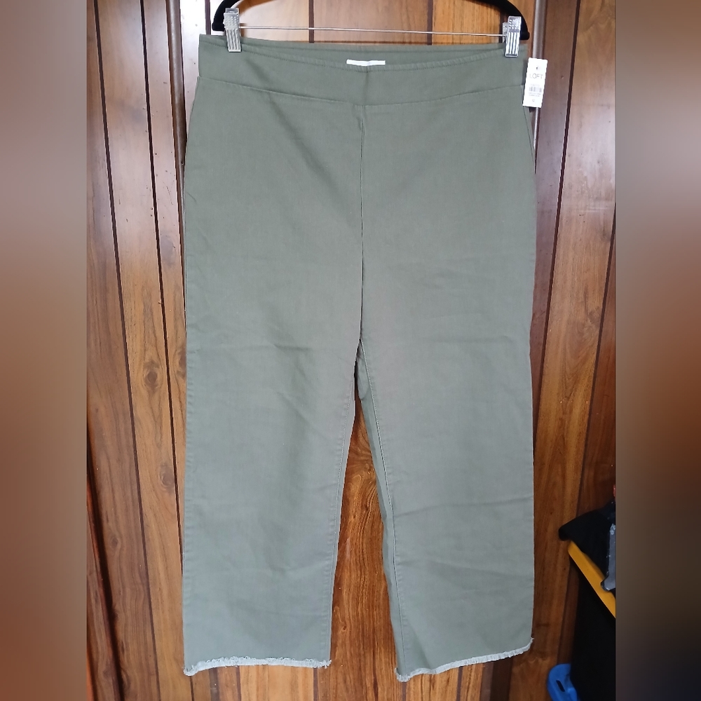 NWT Anna Taylor Loft High Rise Wide Leg Cropped Pull on Pants